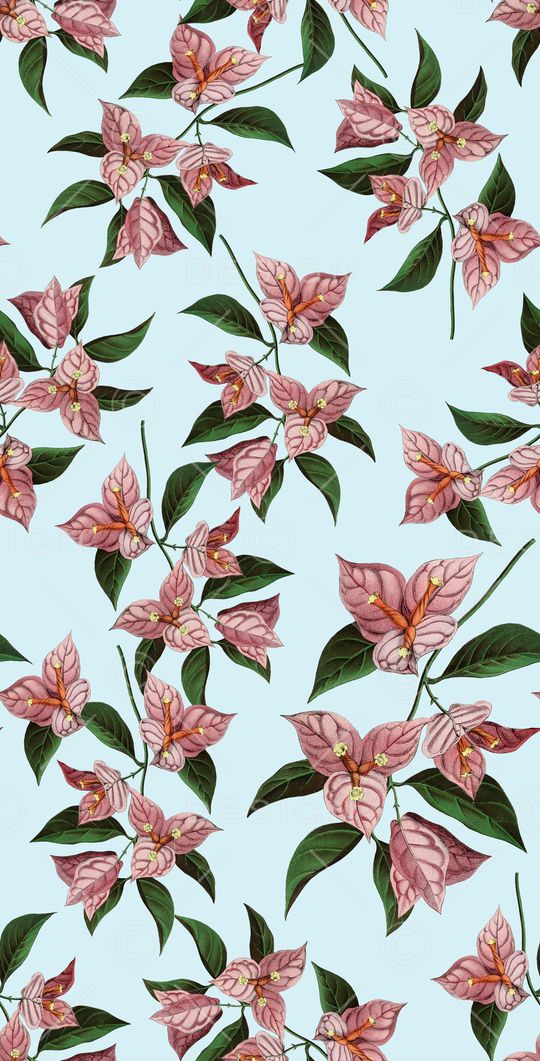 复古手绘一品红印花华亿平台图片