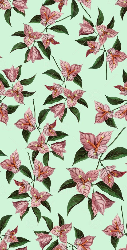 复古手绘一品红印花华亿平台图片