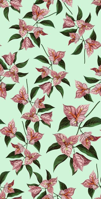 839165-19复古手绘一品红，花卉，植物，花