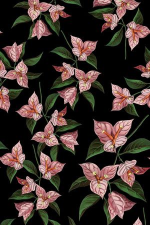 复古手绘一品红印花华亿平台图片