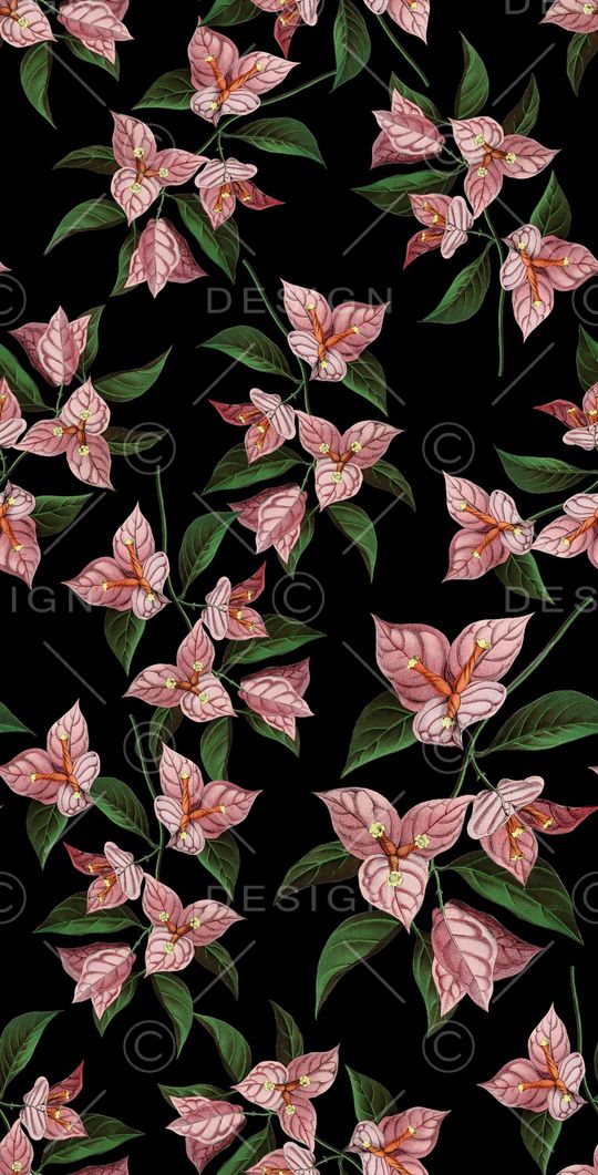 复古手绘一品红印花华亿平台图片