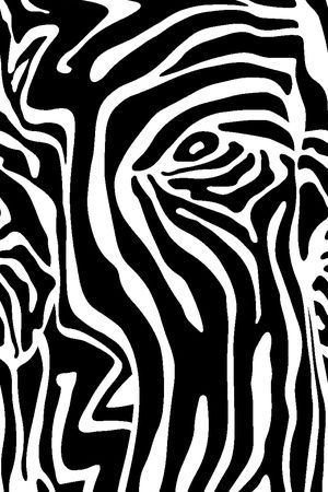 几何条纹印花华亿平台图片