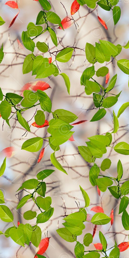 花朵印花华亿平台图片