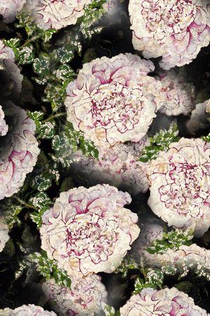 乱花印花华亿平台图片