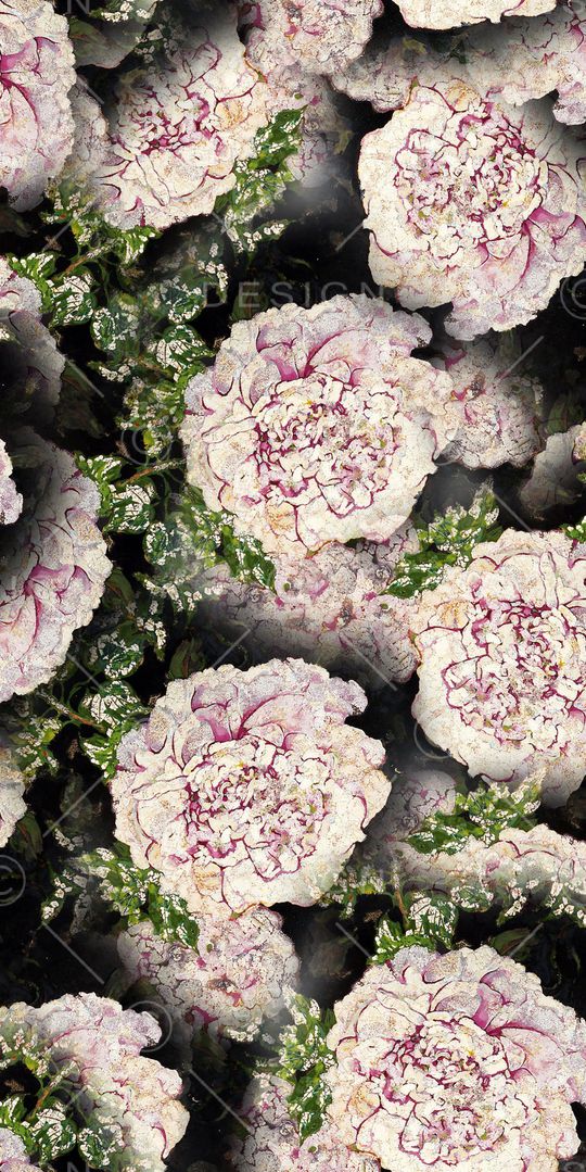 乱花印花华亿平台图片