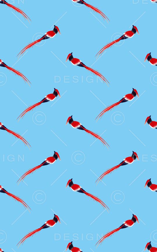 花鸟印花华亿平台图片