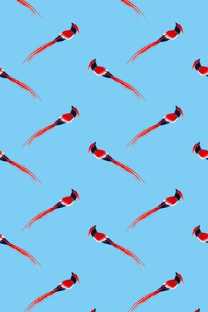 花鸟印花华亿平台图片