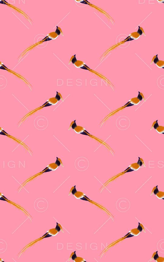 花鸟印花华亿平台图片