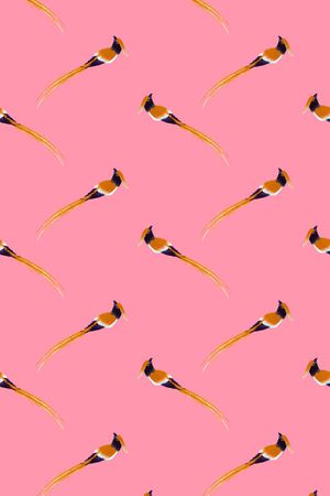 花鸟印花华亿平台图片