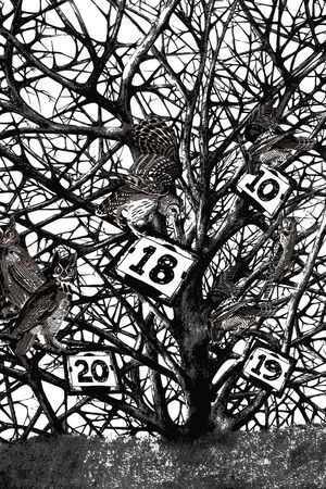 树枝印花华亿平台图片