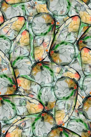 蝴蝶印花华亿平台图片