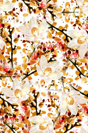 春夏清爽雪纺真丝棉丝巾布料泳装热带风印花印花华亿平台图片