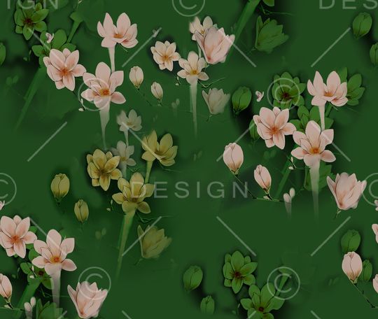 玉兰花印花华亿平台图片