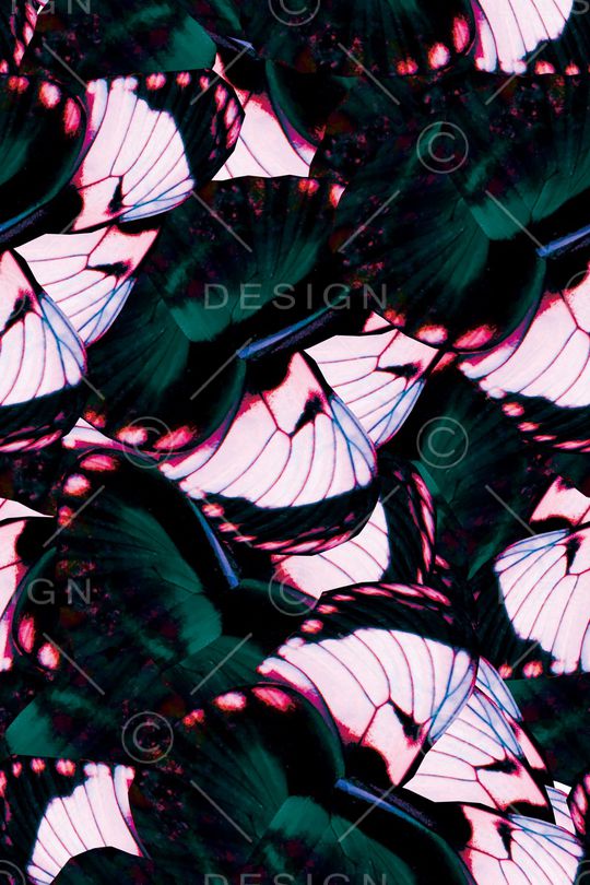 蝶翼印花华亿平台图片