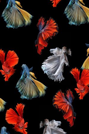 鱼印花华亿平台图片