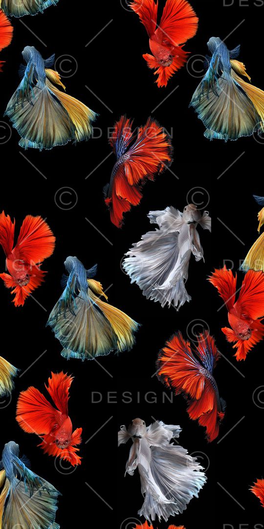 鱼印花华亿平台图片