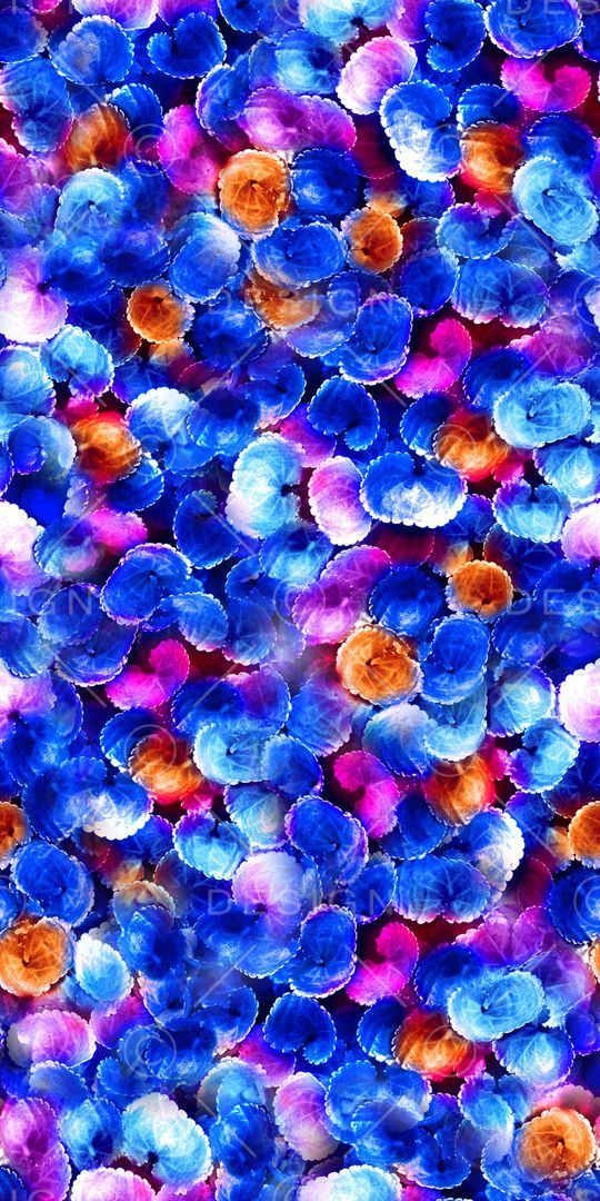 数码印花印花华亿平台图片