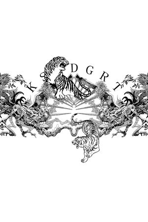 抽象纹理印花华亿平台图片