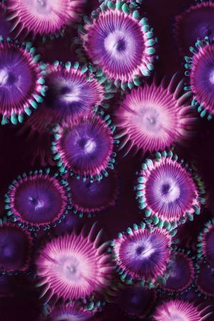 风景印花华亿平台图片