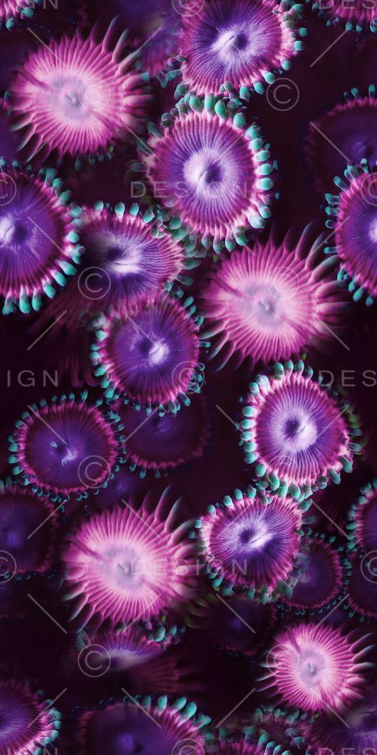 风景印花华亿平台图片