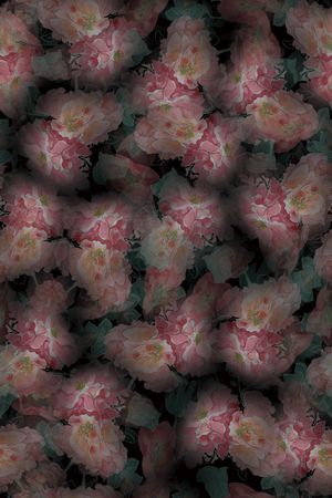 花朵印花华亿平台图片