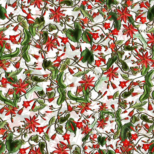 星星花印花华亿平台图片