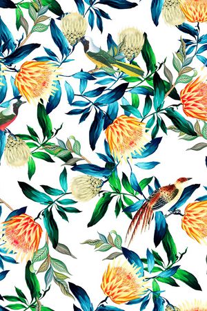 帝王花印花华亿平台图片