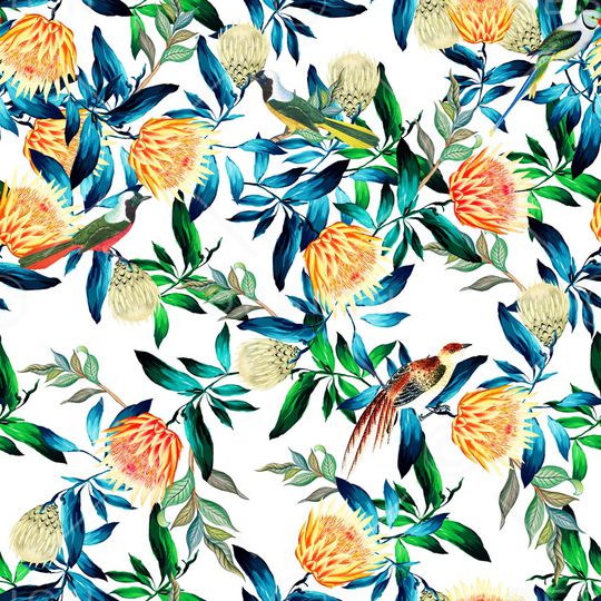 帝王花印花华亿平台图片