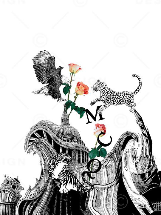 豹子印花华亿平台图片