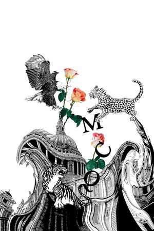 豹子印花华亿平台图片