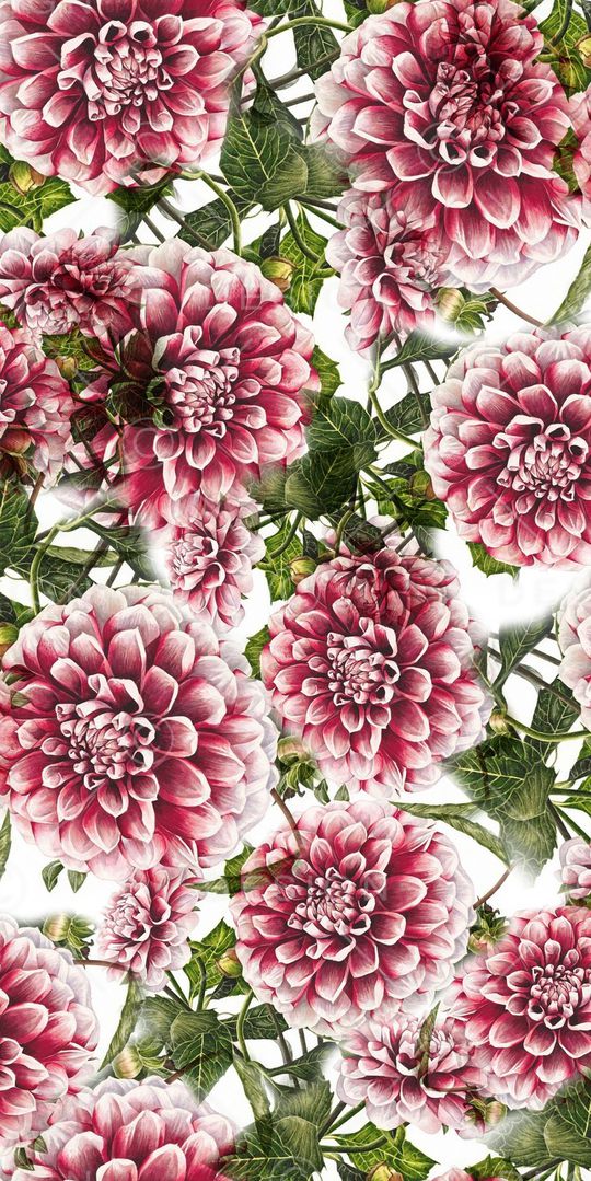 小碎花印花华亿平台图片