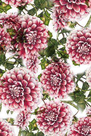 小碎花印花华亿平台图片