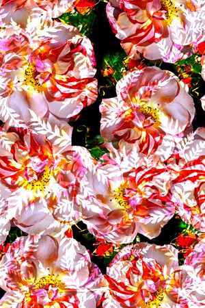 小碎花印花华亿平台图片