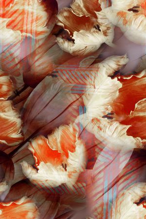 抽象印花华亿平台图片