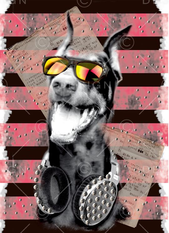 狗印花华亿平台图片