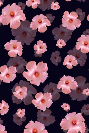 数码印花印花华亿平台图片