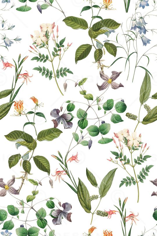 花朵印花华亿平台图片