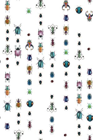 昆虫印花华亿平台图片