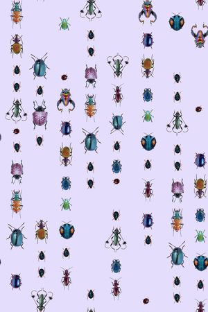 昆虫印花华亿平台图片