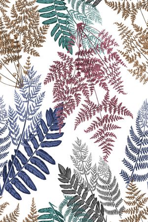 热带印花华亿平台图片