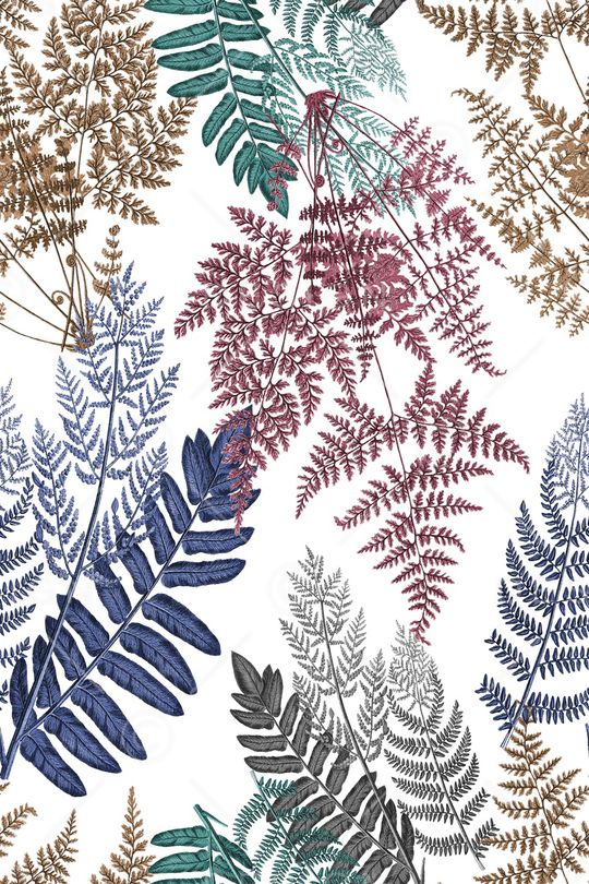 热带印花华亿平台图片