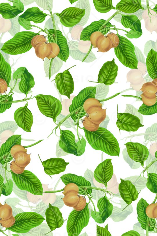 花果印花印花华亿平台图片