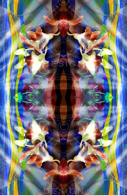 条纹印花华亿平台图片