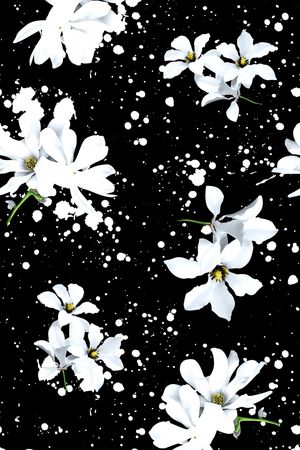 黑白花印花华亿平台图片