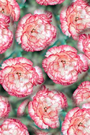 大花印花华亿平台图片