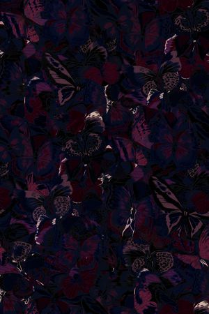 蝴蝶印花华亿平台图片