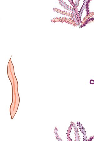 可爱印花华亿平台图片