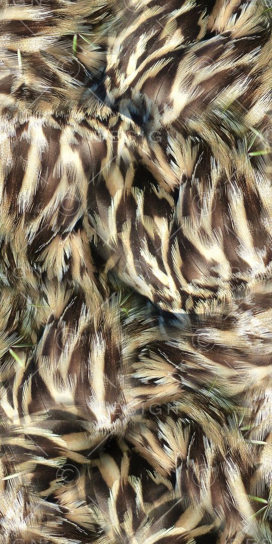 复古底纹印花华亿平台图片