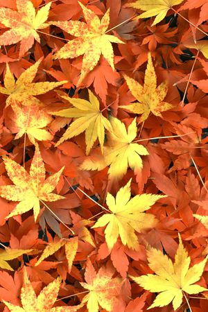 数码印花华亿平台图片