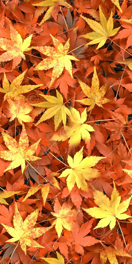 数码印花华亿平台图片